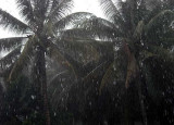 monsoon.jpg