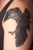 Shoulder tattoo based on Raven image
