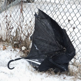 Umbrellas are not common in Moosonee