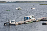 Recovered Cessna being towed upriver