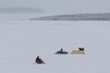 Snowmobiles on the Moose River, looking upriver, 2010 December 28th