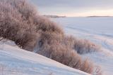 River edge after dawn