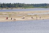 Cooling off on the sandbar