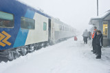 Train 421 arriving during blizzard