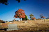 11092008-001