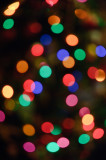 December 21 2008