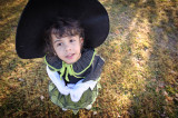 October 29 2010