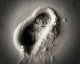 February 9 2011