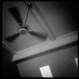 February 10 2011
