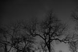 February 27 2006
