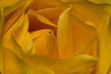 02172008-013