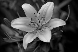 May 30 2008