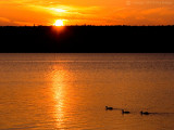 Sunset Swim (WI)