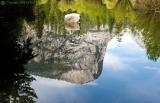 Perfect Reflection at Mirror Lake