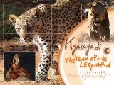 Kgalagadi The year of the Leopard