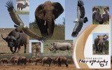 Addo and Mountain Zebra National Parks Eastern Cape
