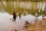 Lake Elder, 01-25-2009, #2, After