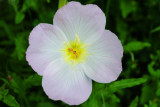 (20090409_183032_rj_b_d200)