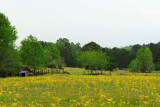 (20090409_184744_rj_b_d200)