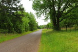 Near My House, 4-27-2009 (#7)