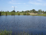 Pond in Gilmer, Aug 27th 2007