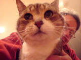 2-27-08.jpg