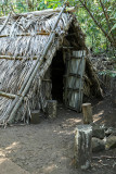 Habitat primitif en Amazonie ? Non, sur lle de la Runion !