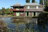 Visite du conservatoire-jardin botanique national des Mascarins