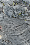 Ile de la Runion - Sur la coule de lave de 2001, sur laquelle on peut voir les plus belles laves cordes