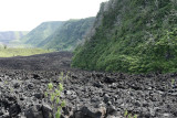 Ile de la Runion - Sur le grand brl, zone o scoulent les coules de lave du volcan La Fournaise