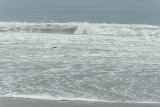 Sur la plage de Berck le week-end des 6 heures de Berck 2008