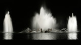 Les Grandes Eaux Nocturnes du chteau de Versailles