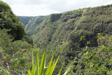 le de la Runion - Dcouverte du centre de lle