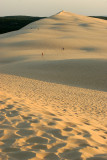 Dcouverte de la dune du Pyla situe  lembouchure du Bassin dArcachon