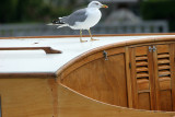 Tour du Bassin dArcachon et dcouverte de lle aux Oiseaux en bateau  bord du Margat