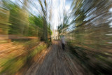 Promenade hivernale sur les buttes de Rosne