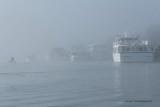 Sur le golfe du Morbihan en semi-rigide - MK3_9349 DxO Pbase 2.jpg