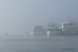 Sur le golfe du Morbihan en semi-rigide - MK3_9350 DxO Pbase 2.jpg