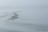 Sur le golfe du Morbihan en semi-rigide - MK3_9357 DxO Pbase 2.jpg