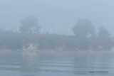 Sur le golfe du Morbihan en semi-rigide - MK3_9359 DxO Pbase 2.jpg