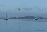 Sur le golfe du Morbihan en semi-rigide - MK3_9379 DxO Pbase 2.jpg