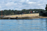 Sur le golfe du Morbihan en semi-rigide - MK3_9483 DxO Pbase.jpg