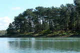 Sur le golfe du Morbihan en semi-rigide - MK3_9554 DxO Pbase.jpg