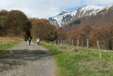 Week end en Auvergne mai 2009 -  MK3_0118 DxO Pbase.jpg