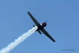 2712 Meeting aerien de la Ferte Alais 2009 - MK3_0628 DxO  web.jpg