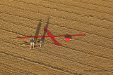 7184 Lorraine Mondial Air Ballons 2009 - MK3_8115 DxO  web.jpg