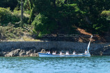 1739 Douarnenez 2010 - Dimanche 25 juillet - MK3_5568_DxO WEB.jpg