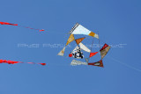 115 Festival international de cerf volant de Dieppe - MK3_9747_DxO WEB.jpg