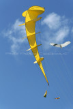 142 Festival international de cerf volant de Dieppe - MK3_9760_DxO WEB.jpg