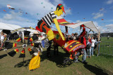 21 Festival international de cerf volant de Dieppe - IMG_7182_DxO WEB.jpg